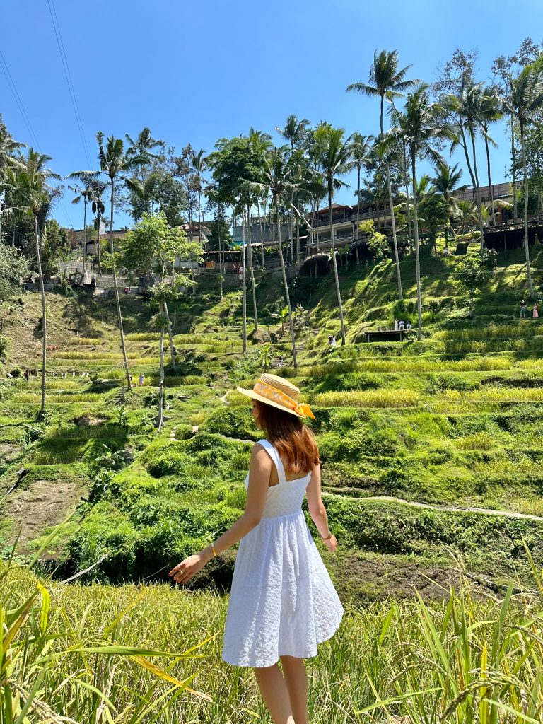 Tegallalang Rice Terraces, panoramic green rice terraces near Ubud | THE DAILY HAPPINESS