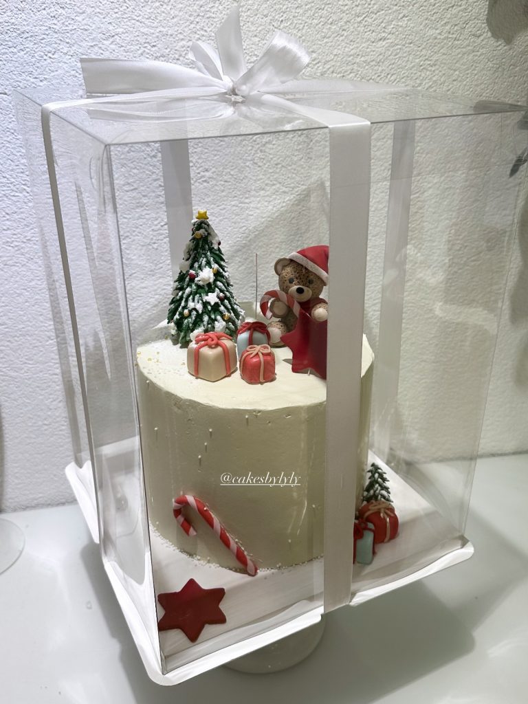 Festive Christmas cake in a clear box, adding sweetness and joy to winter self-care rituals at home. | THE DAILY HAPPINESS