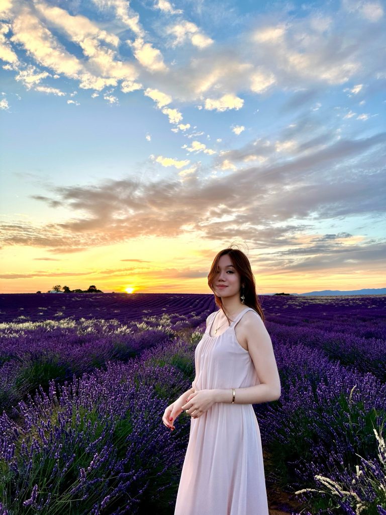 Sunset over the Valensole lavender fields in Provence France
