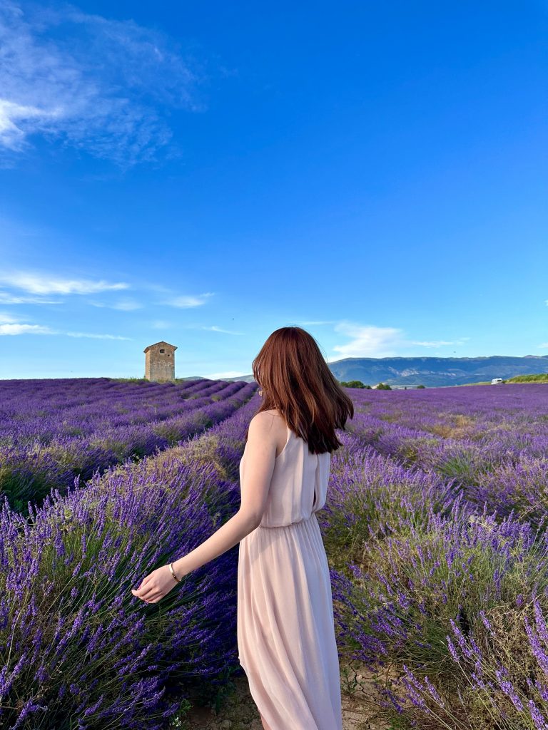 Walking through the lavender fields in Valensole Provence France
